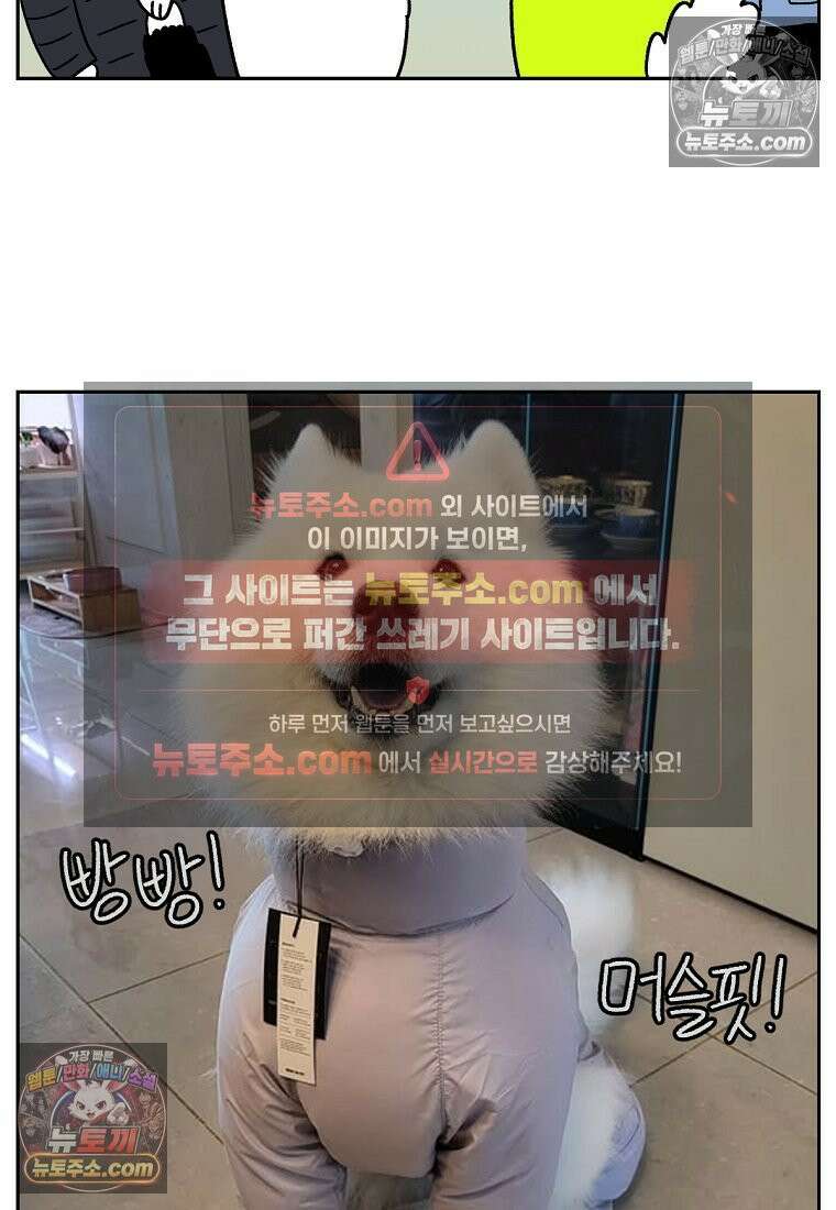 극한견주 시즌2 45화 솜이의 겨울 산책룩 26