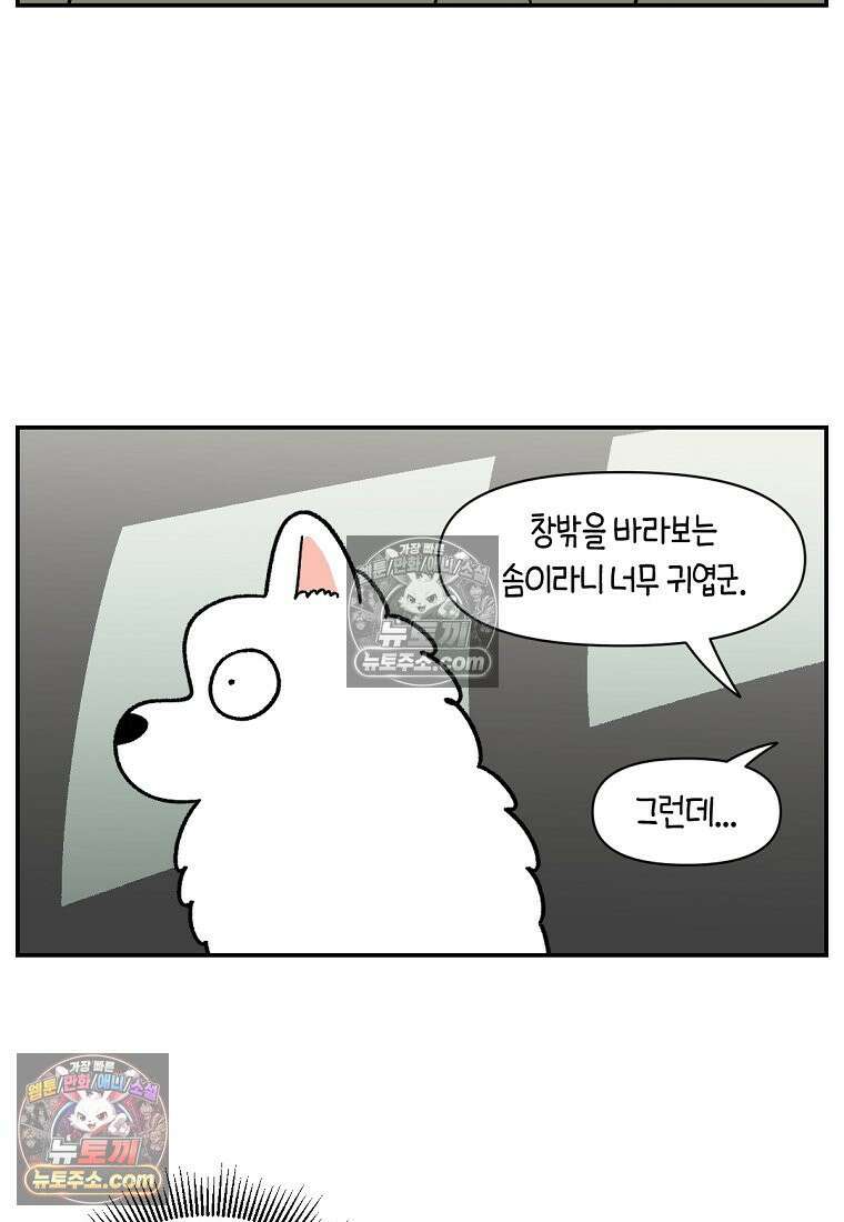 극한견주 시즌2 67화 뒷좌석 창문 8