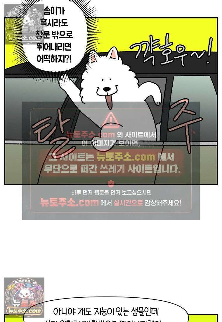 극한견주 시즌2 67화 뒷좌석 창문 9