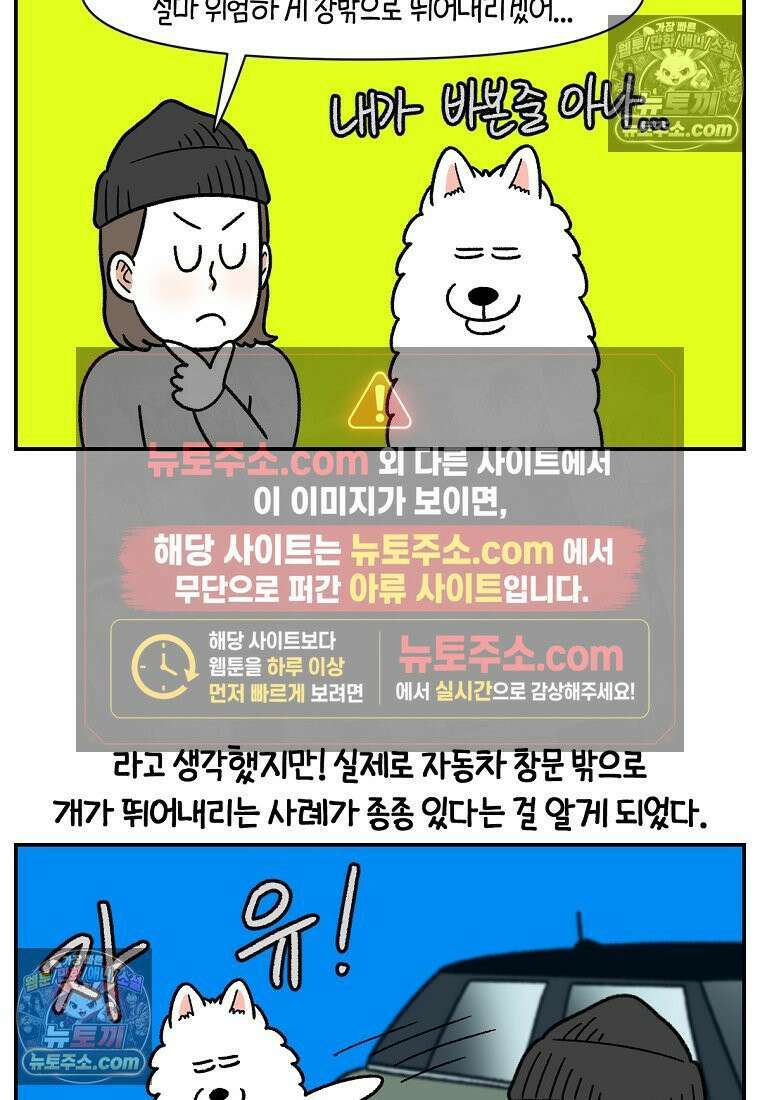 극한견주 시즌2 67화 뒷좌석 창문 10