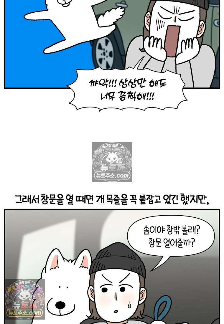 극한견주 시즌2 67화 뒷좌석 창문 11