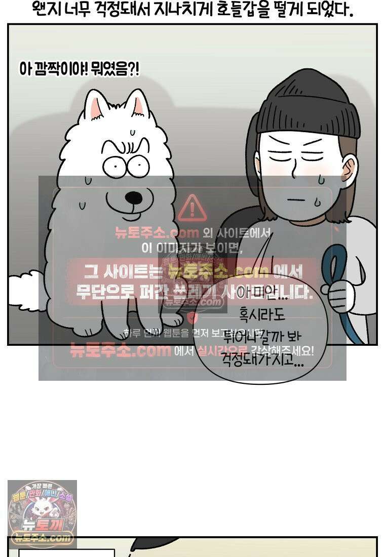 극한견주 시즌2 67화 뒷좌석 창문 15
