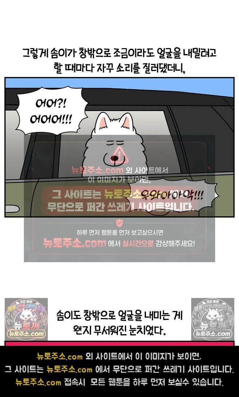극한견주 시즌2 67화 뒷좌석 창문 18