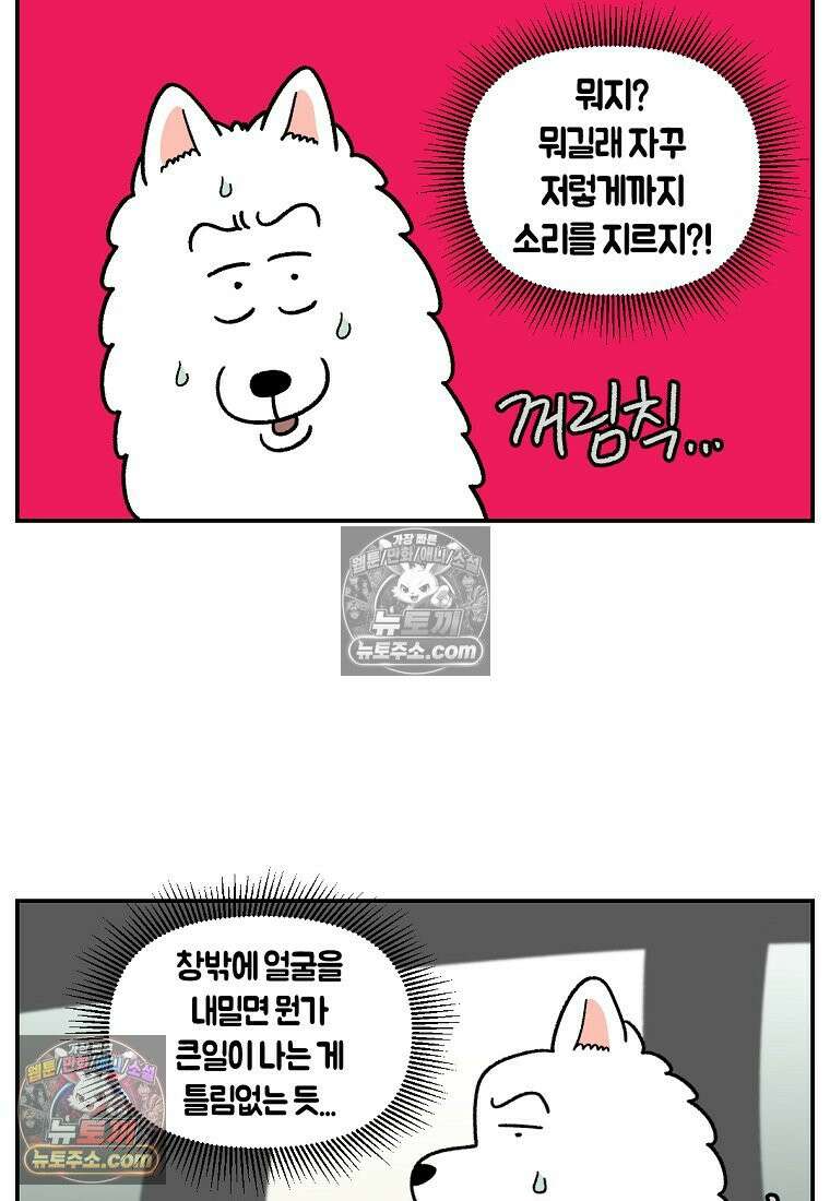 극한견주 시즌2 67화 뒷좌석 창문 19