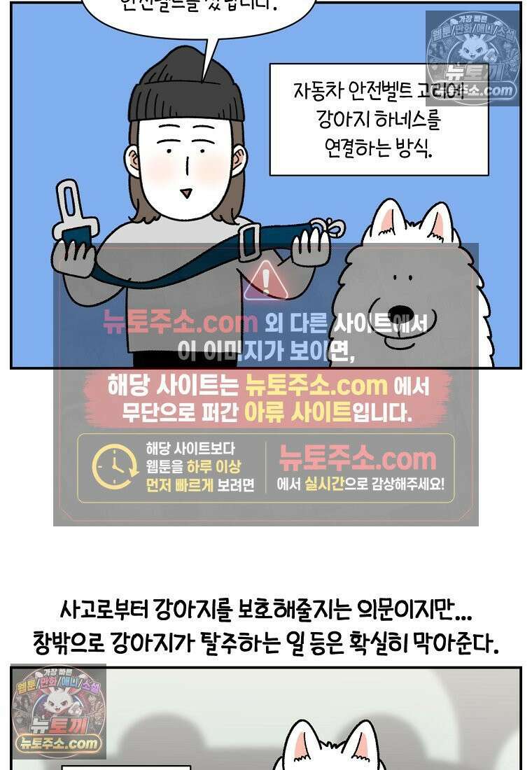 극한견주 시즌2 67화 뒷좌석 창문 23