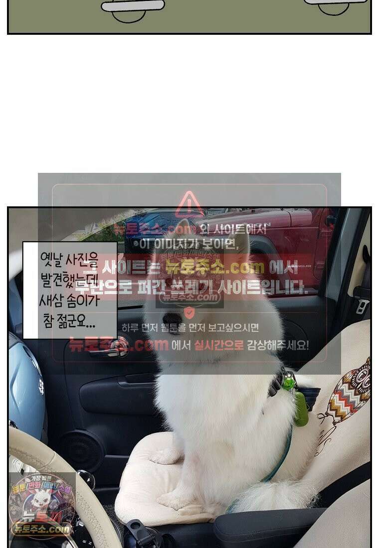 극한견주 시즌2 67화 뒷좌석 창문 25