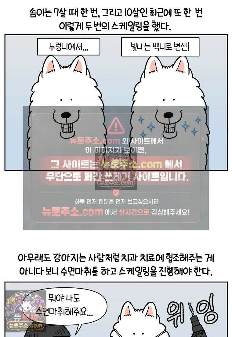 극한견주 시즌2 88화 치아 관리 2