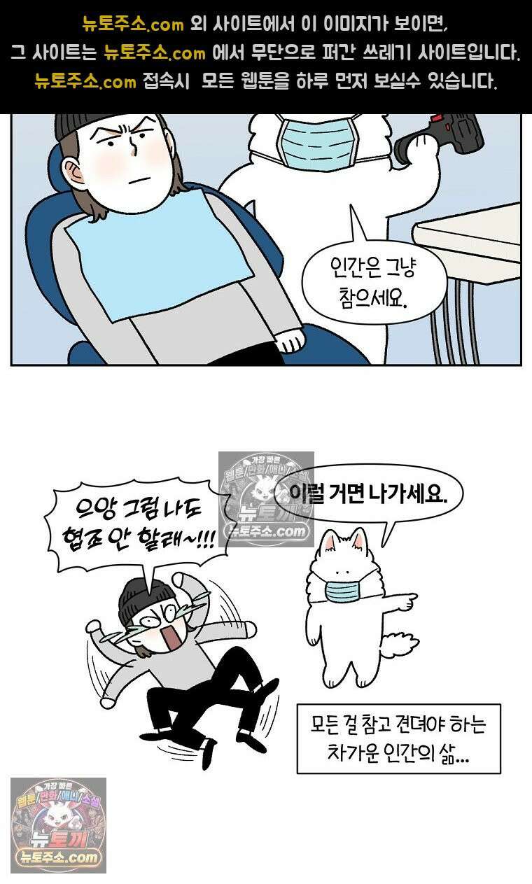 극한견주 시즌2 88화 치아 관리 3