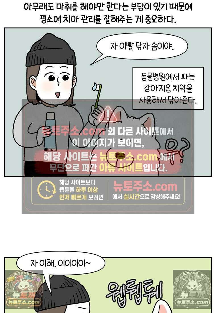 극한견주 시즌2 88화 치아 관리 4