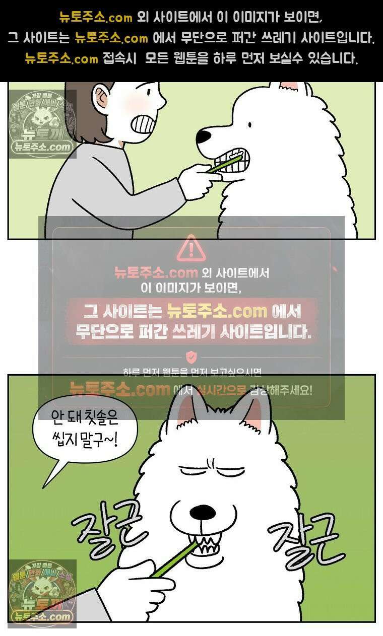 극한견주 시즌2 88화 치아 관리 5