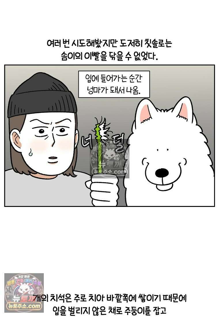 극한견주 시즌2 88화 치아 관리 6