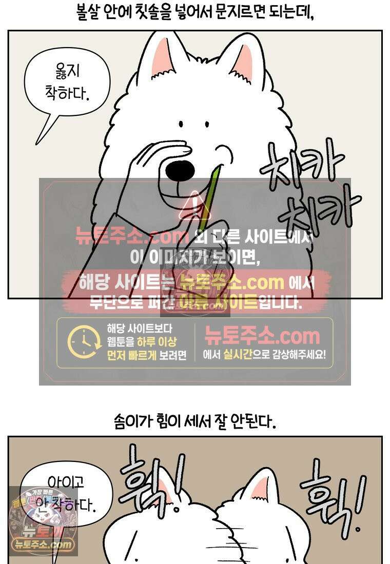 극한견주 시즌2 88화 치아 관리 7