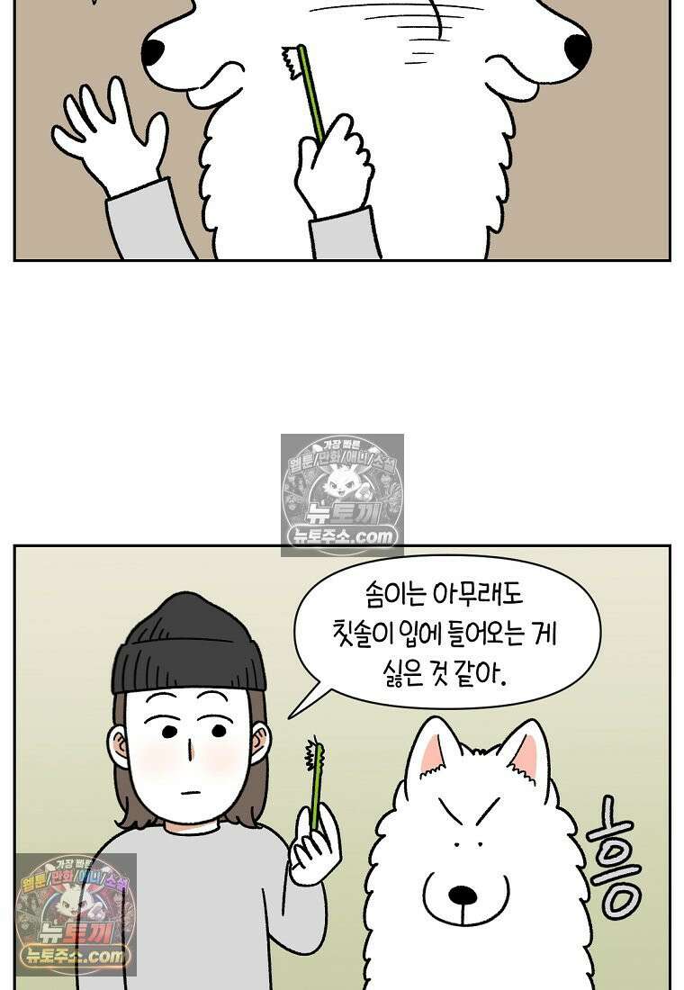 극한견주 시즌2 88화 치아 관리 8