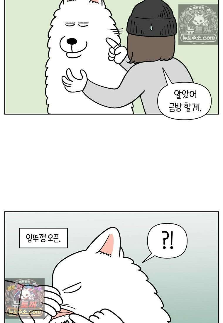 극한견주 시즌2 88화 치아 관리 11