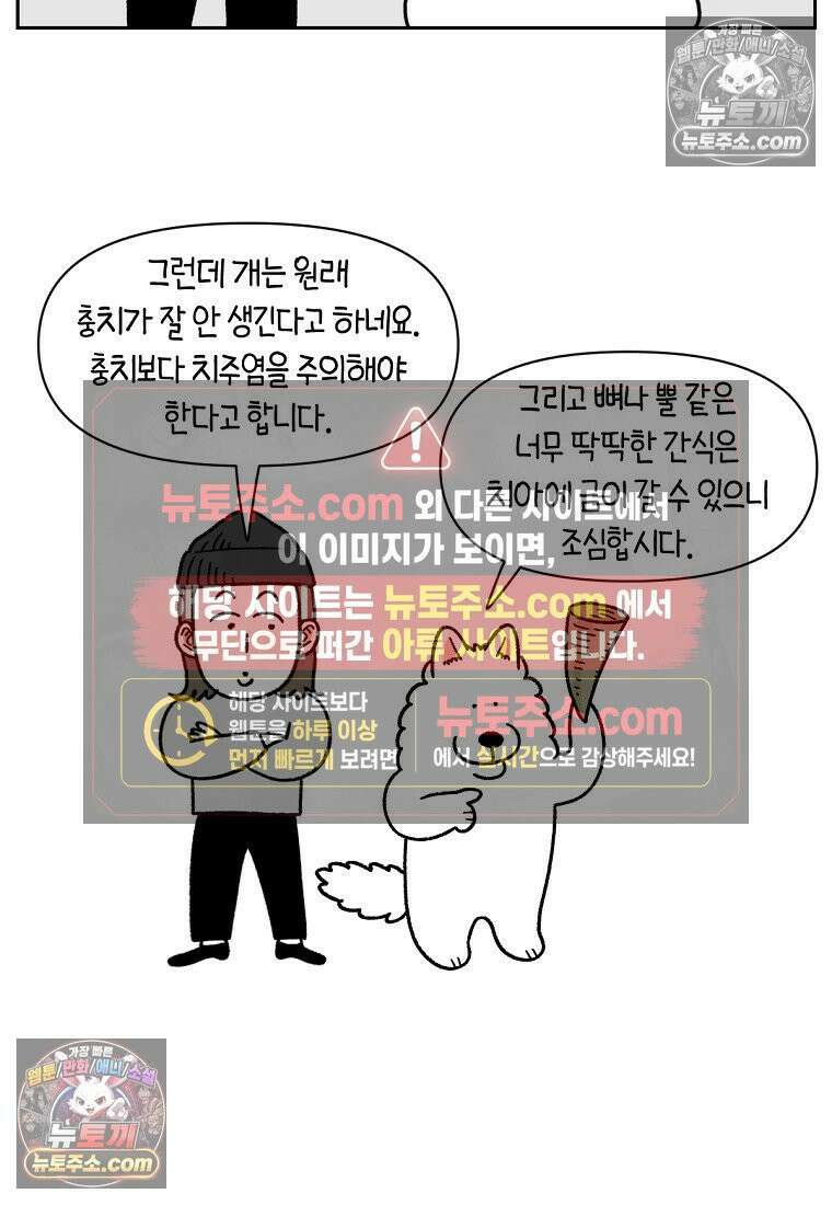 극한견주 시즌2 88화 치아 관리 13