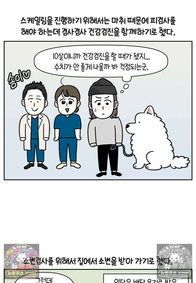 극한견주 시즌2 88화 치아 관리 14