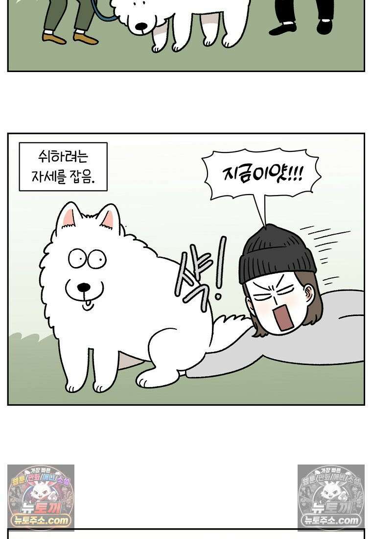 극한견주 시즌2 88화 치아 관리 16