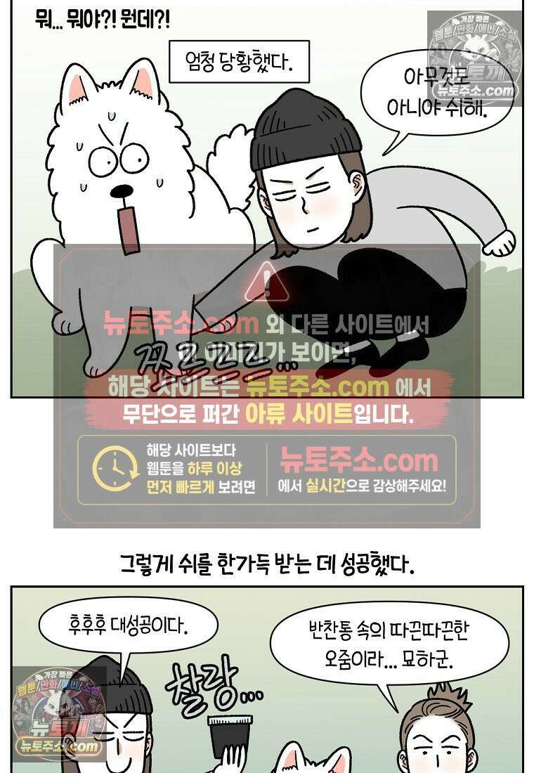 극한견주 시즌2 88화 치아 관리 17