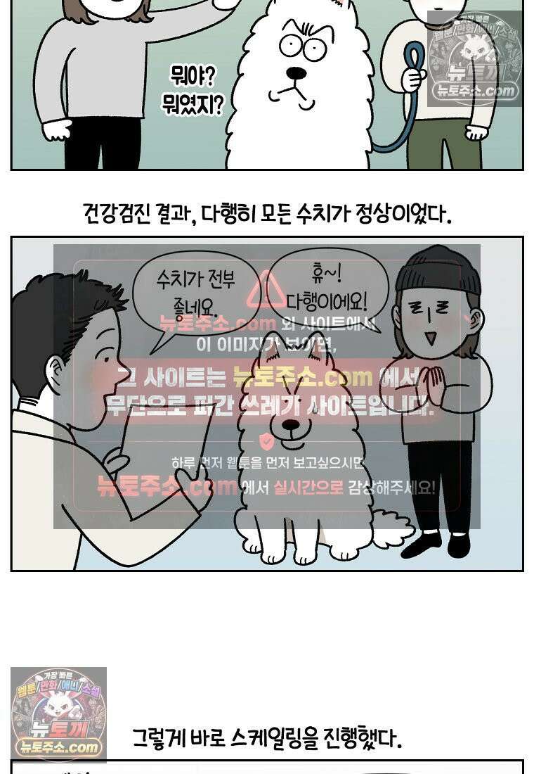 극한견주 시즌2 88화 치아 관리 18