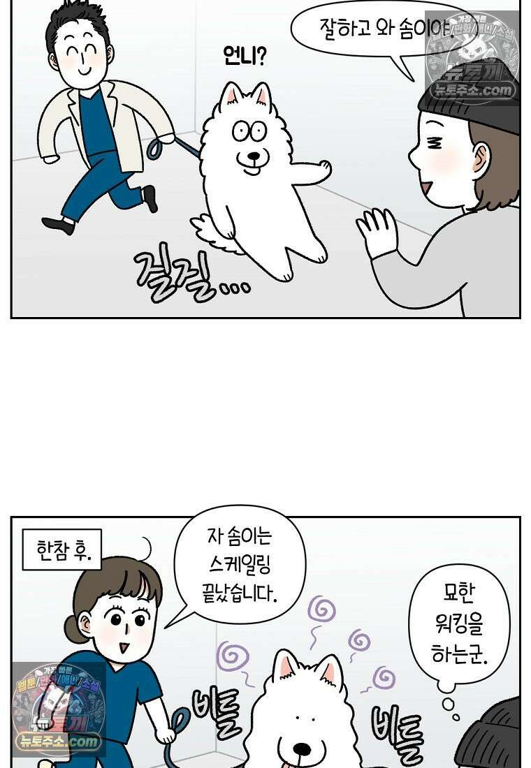 극한견주 시즌2 88화 치아 관리 19