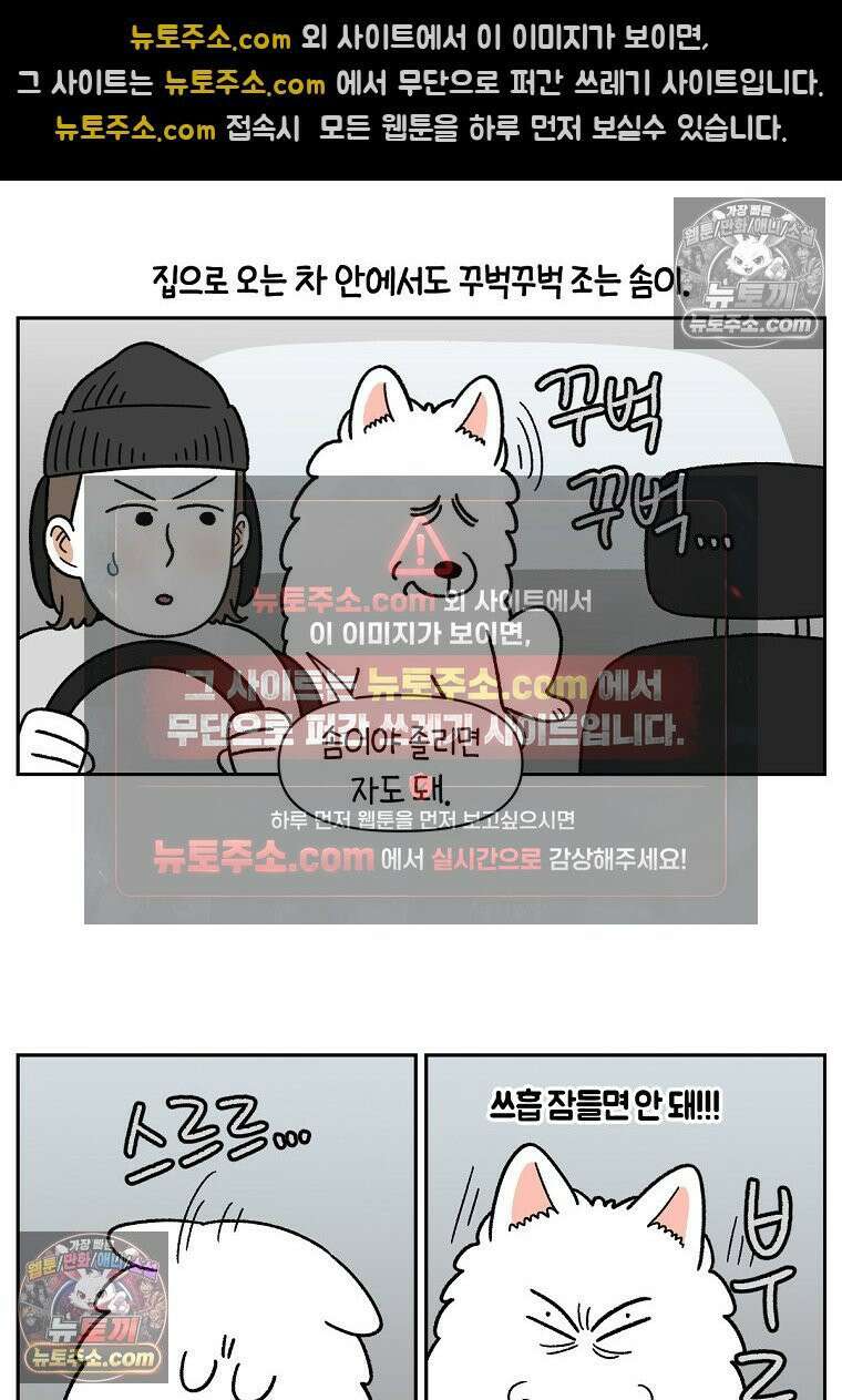 극한견주 시즌2 88화 치아 관리 21
