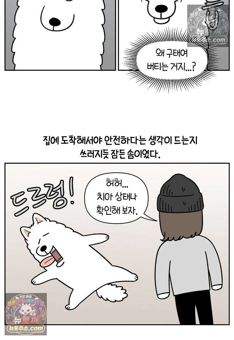 극한견주 시즌2 88화 치아 관리 22