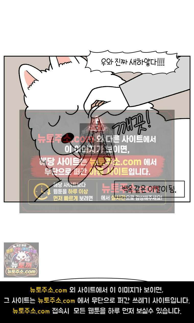 극한견주 시즌2 88화 치아 관리 23