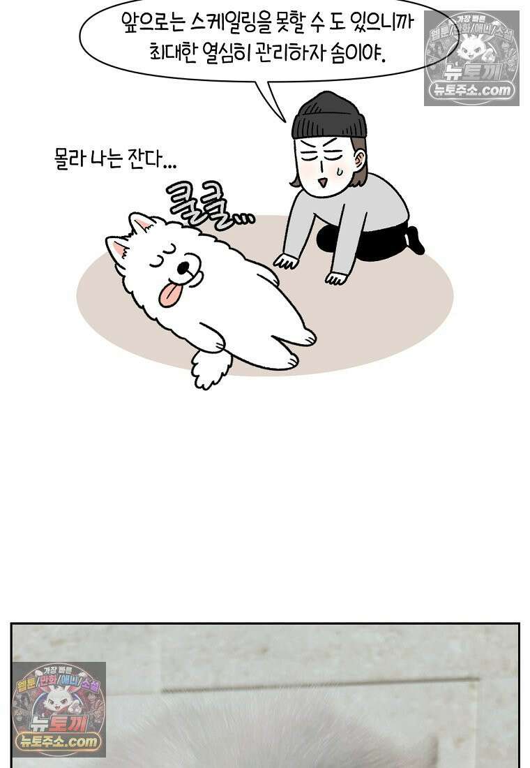 극한견주 시즌2 88화 치아 관리 24