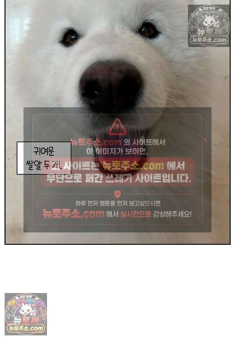 극한견주 시즌2 88화 치아 관리 25