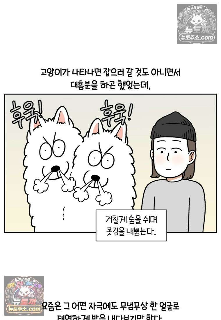 극한견주 시즌2 93화 어린이 이웃들 18