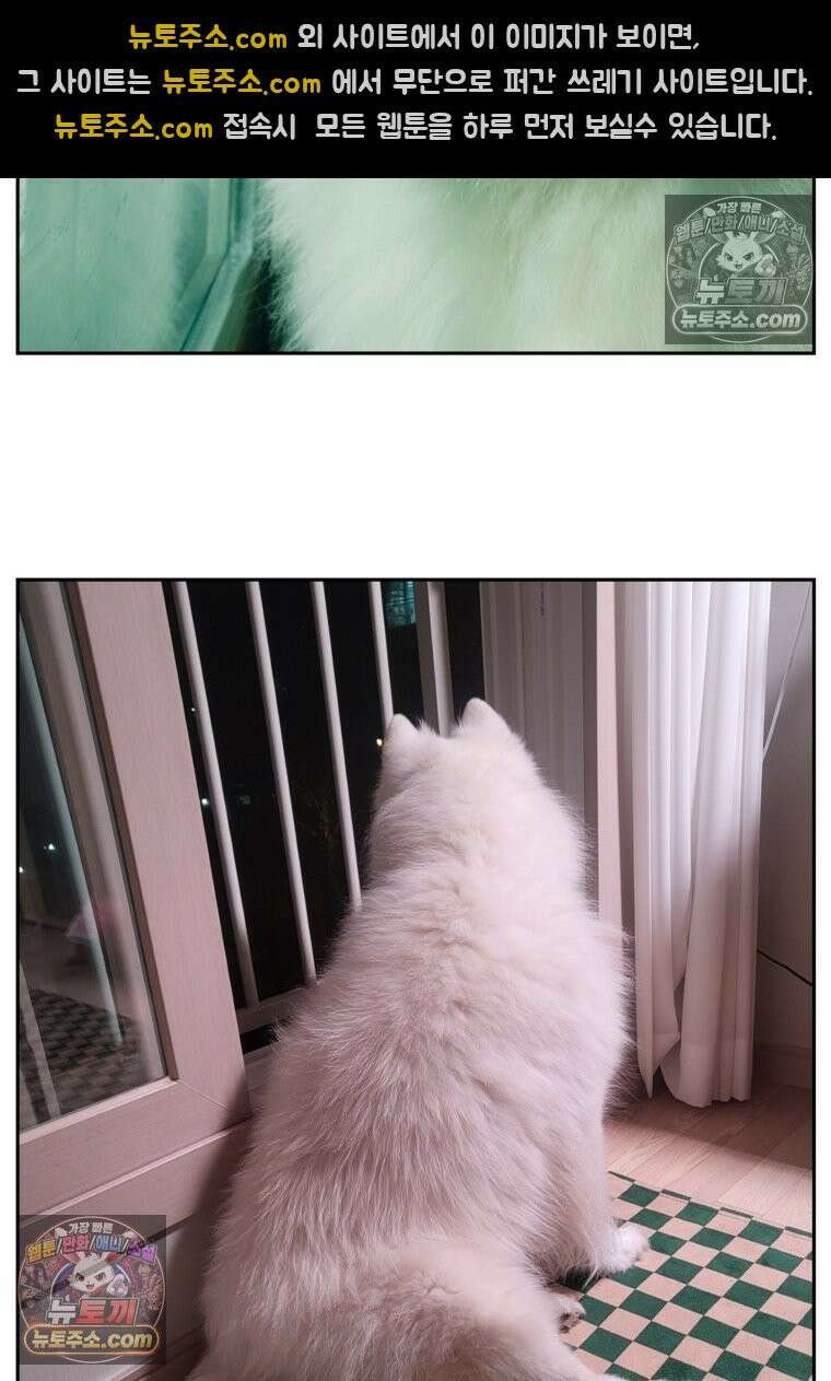 극한견주 시즌2 93화 어린이 이웃들 27