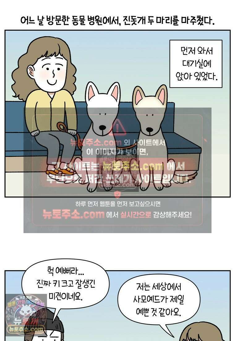 극한견주 시즌2 98화 병원에서 만난 친구들 2
