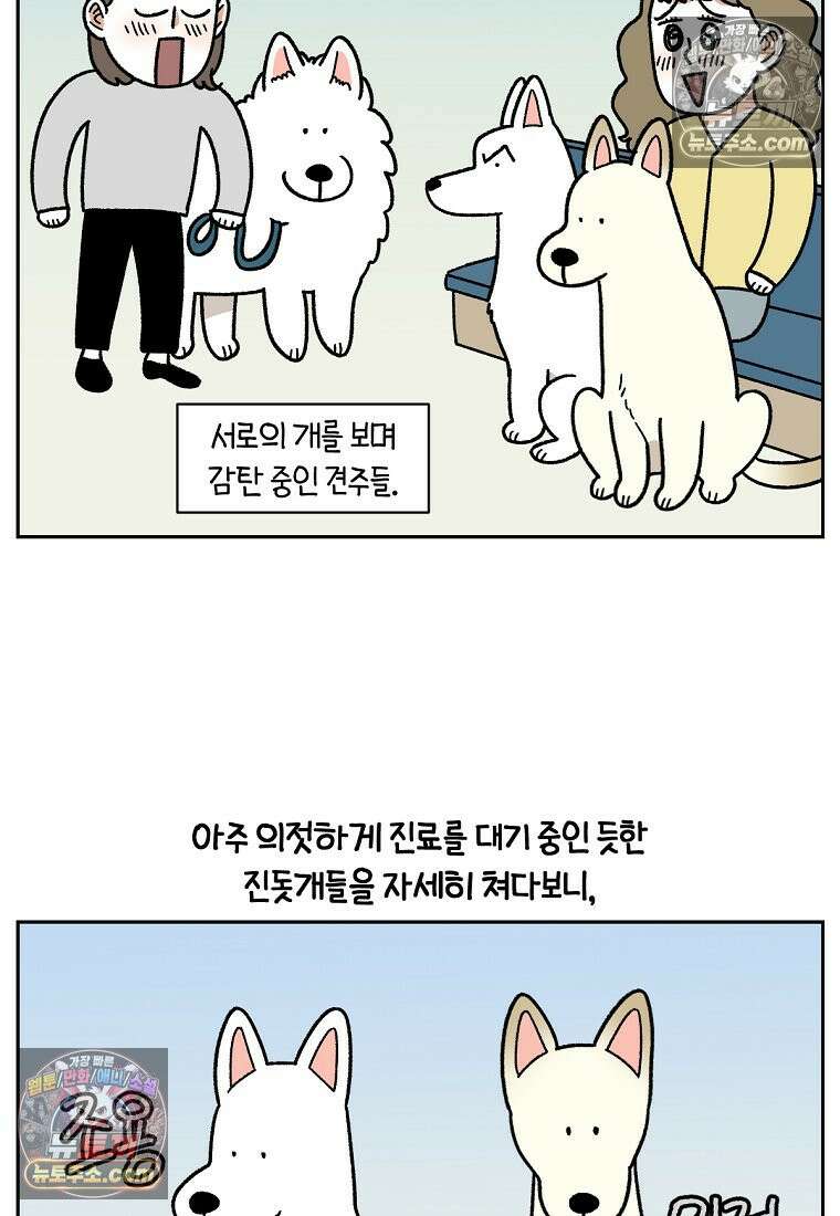극한견주 시즌2 98화 병원에서 만난 친구들 3