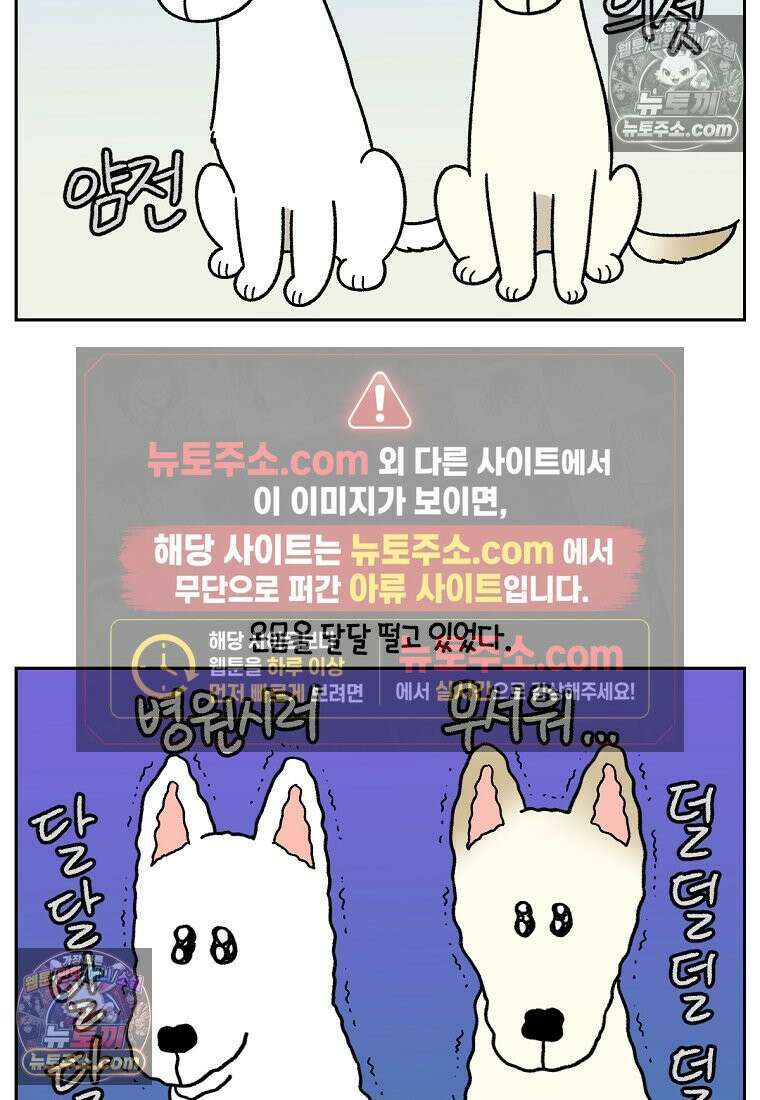 극한견주 시즌2 98화 병원에서 만난 친구들 4