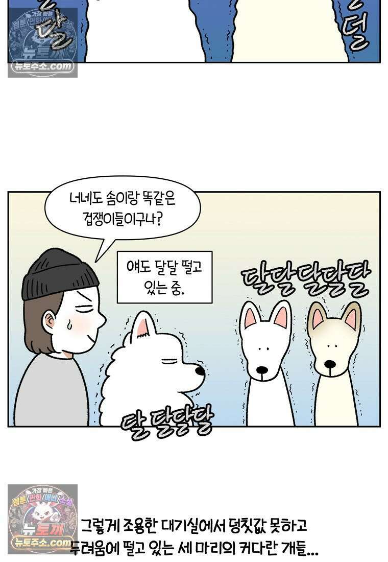 극한견주 시즌2 98화 병원에서 만난 친구들 5