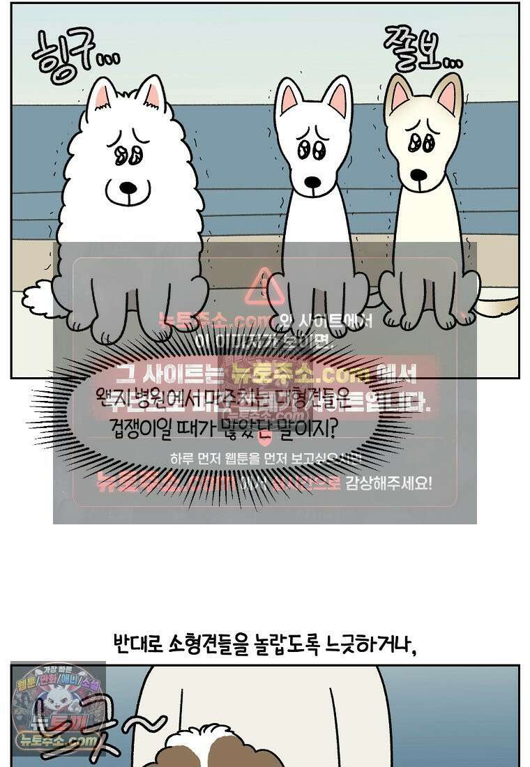 극한견주 시즌2 98화 병원에서 만난 친구들 6