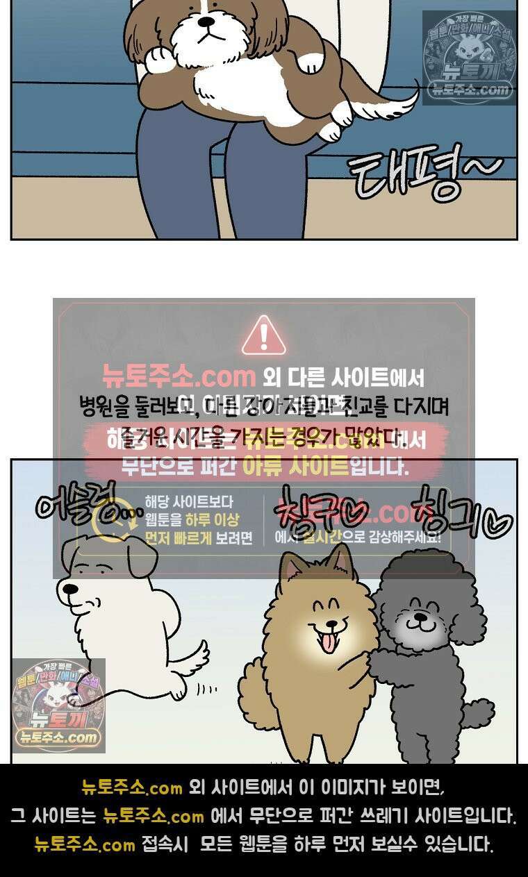 극한견주 시즌2 98화 병원에서 만난 친구들 7