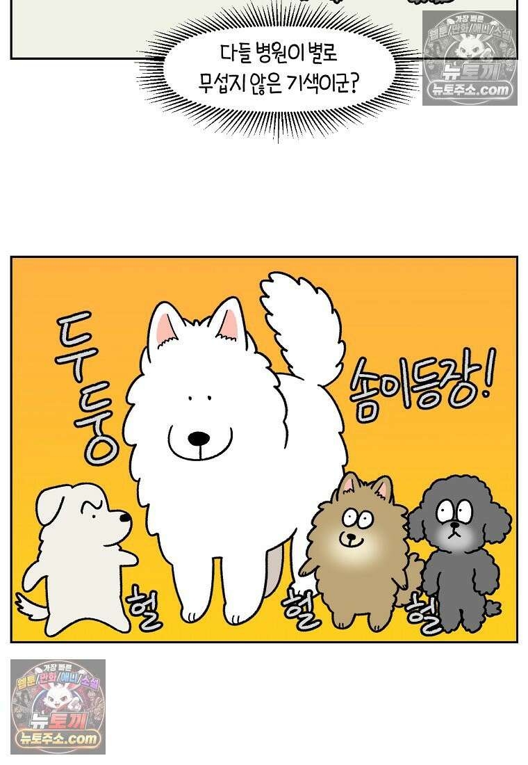 극한견주 시즌2 98화 병원에서 만난 친구들 8