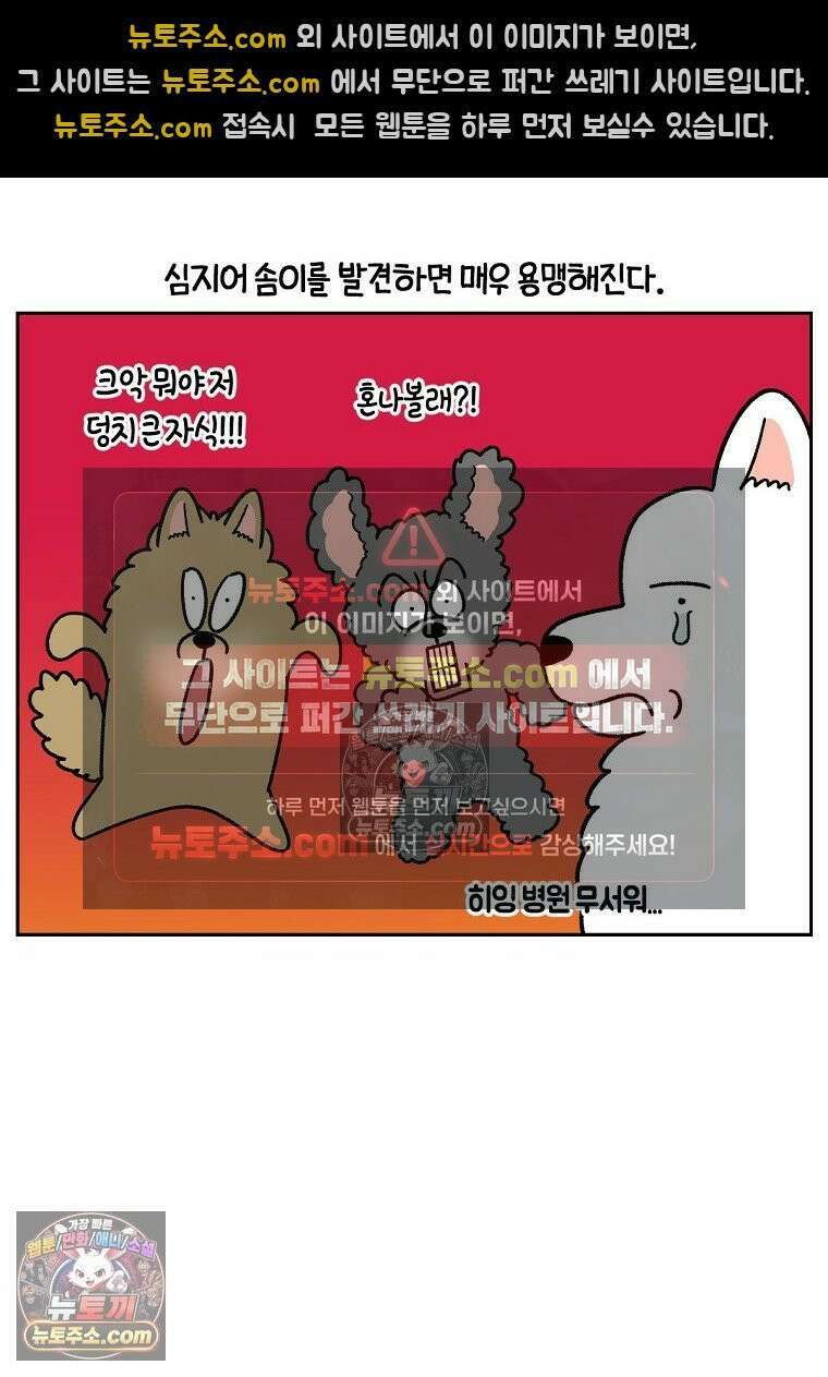 극한견주 시즌2 98화 병원에서 만난 친구들 9