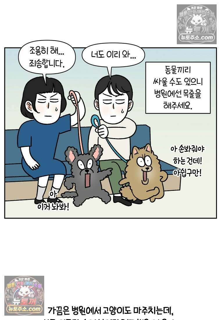 극한견주 시즌2 98화 병원에서 만난 친구들 10