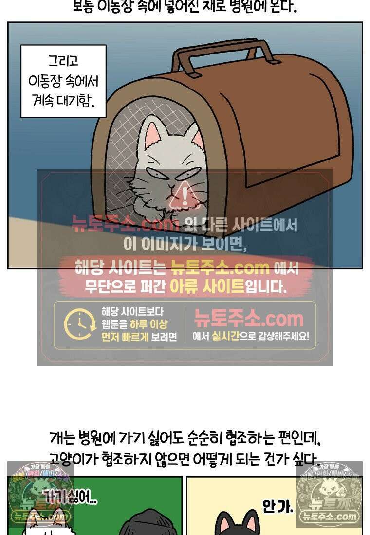 극한견주 시즌2 98화 병원에서 만난 친구들 11