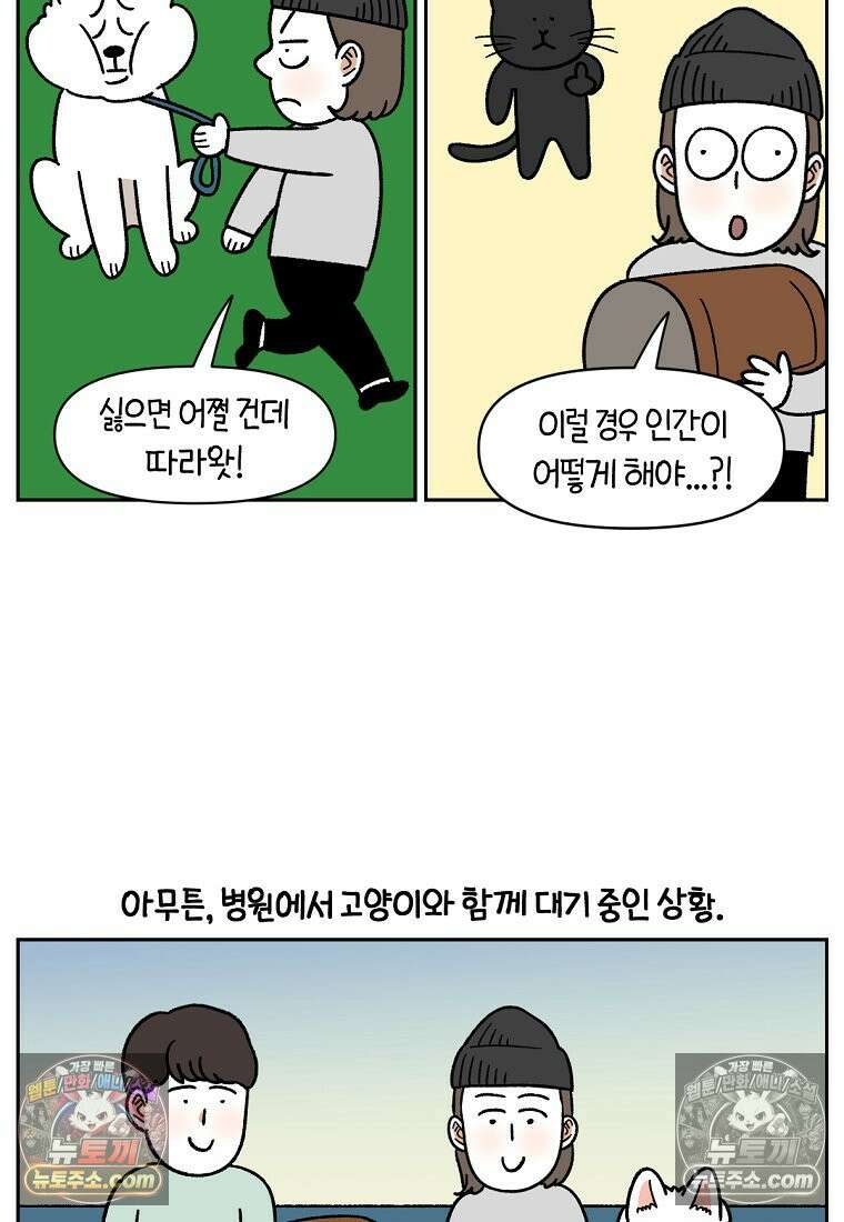 극한견주 시즌2 98화 병원에서 만난 친구들 12