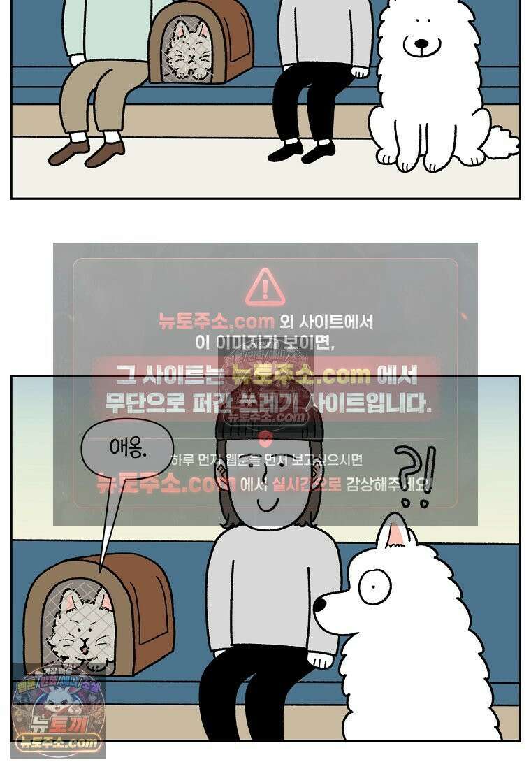 극한견주 시즌2 98화 병원에서 만난 친구들 13