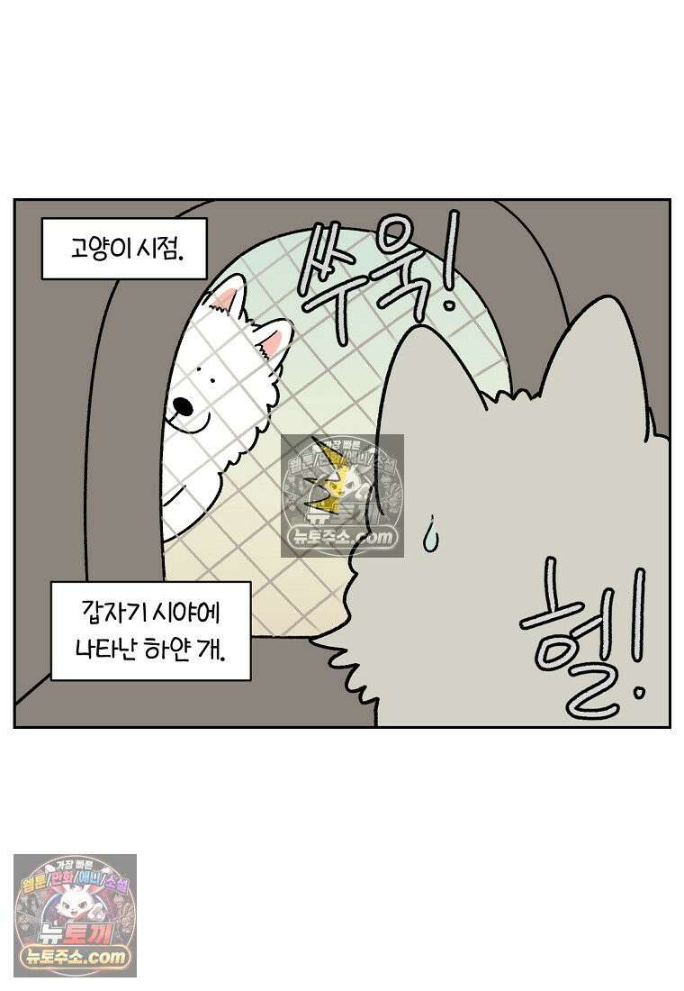극한견주 시즌2 98화 병원에서 만난 친구들 15