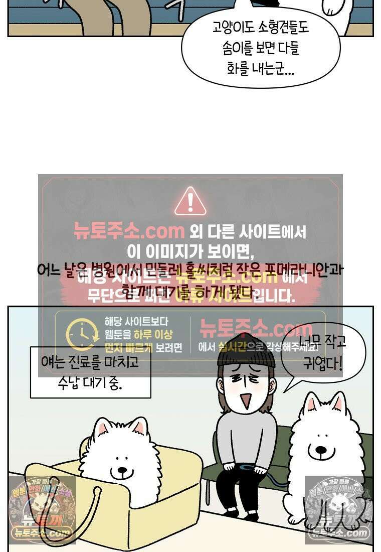 극한견주 시즌2 98화 병원에서 만난 친구들 18
