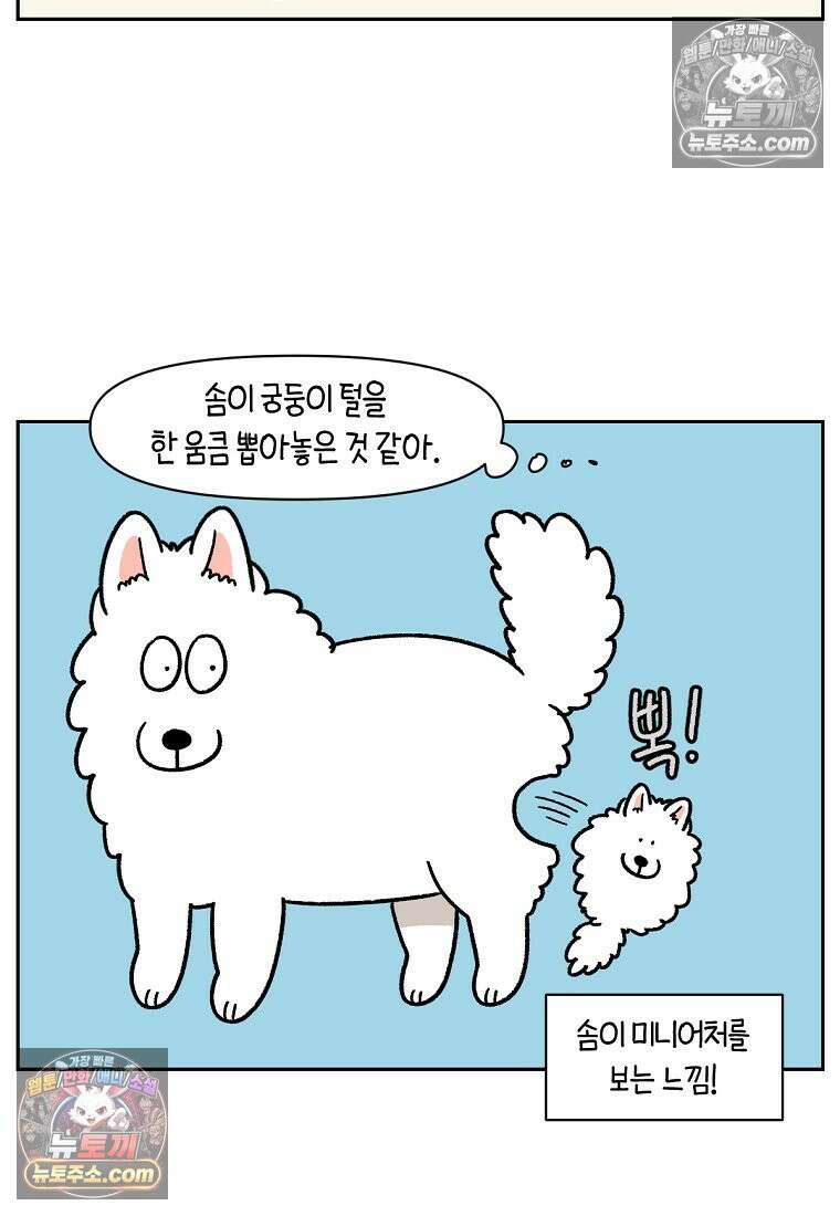 극한견주 시즌2 98화 병원에서 만난 친구들 19
