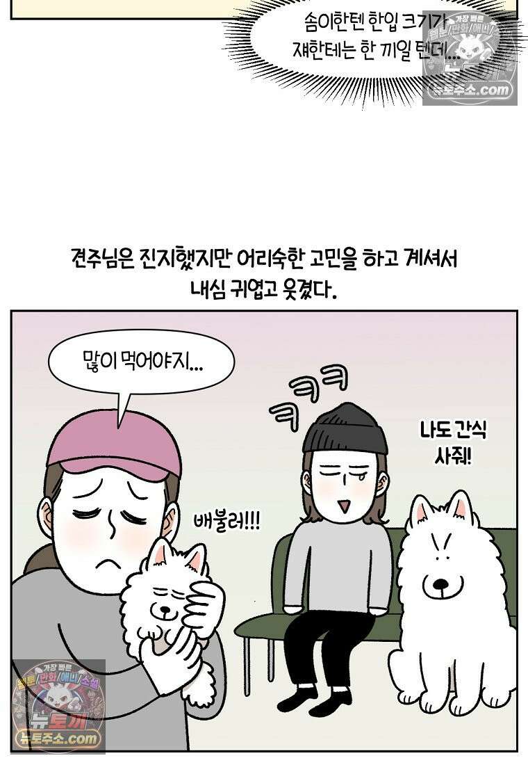 극한견주 시즌2 98화 병원에서 만난 친구들 24
