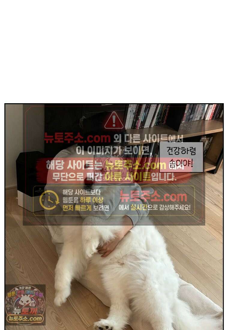 극한견주 시즌2 98화 병원에서 만난 친구들 25