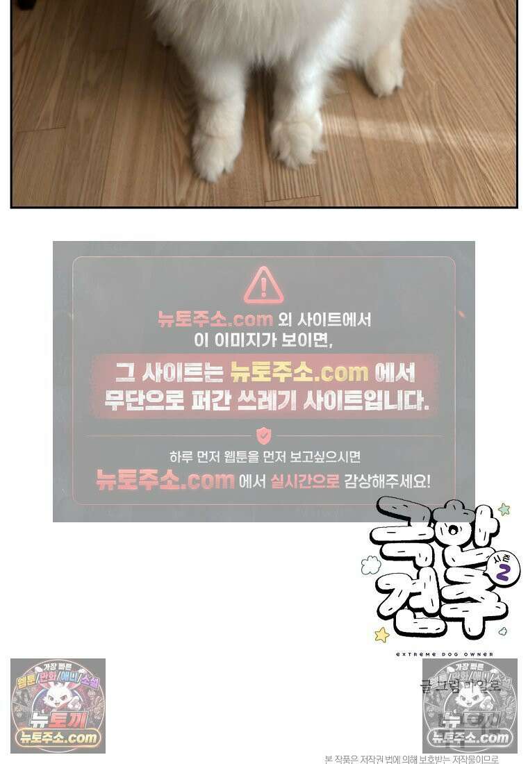 극한견주 시즌2 98화 병원에서 만난 친구들 27