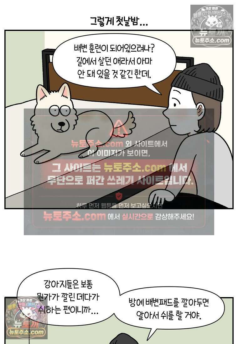 극한견주 시즌2 103화 쉬하는 방법을 모르겠어요 2